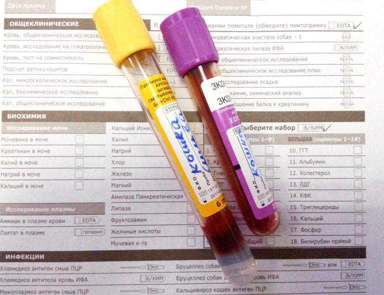Подготовка к сдаче анализов крови